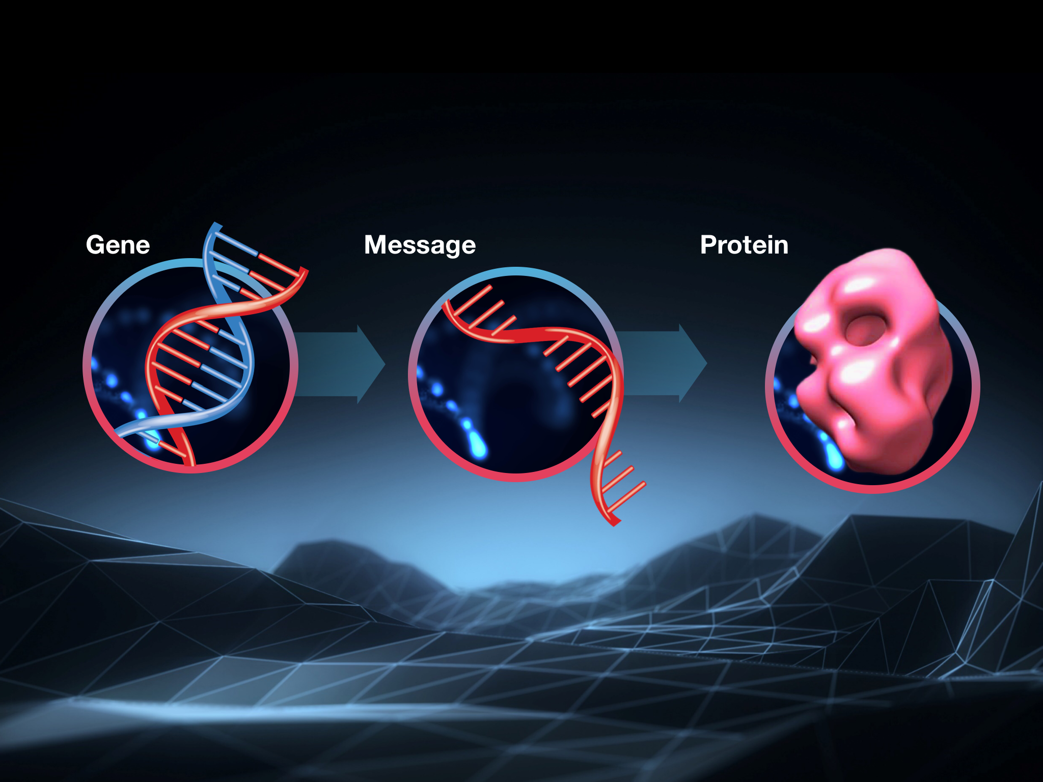 All you need to know about molecular biology - the HD gene in DNA provides instructions to create the huntingtin protein. A messenger molecule, constructed of RNA, carries the message from the gene to the protein-making machines in the cell.