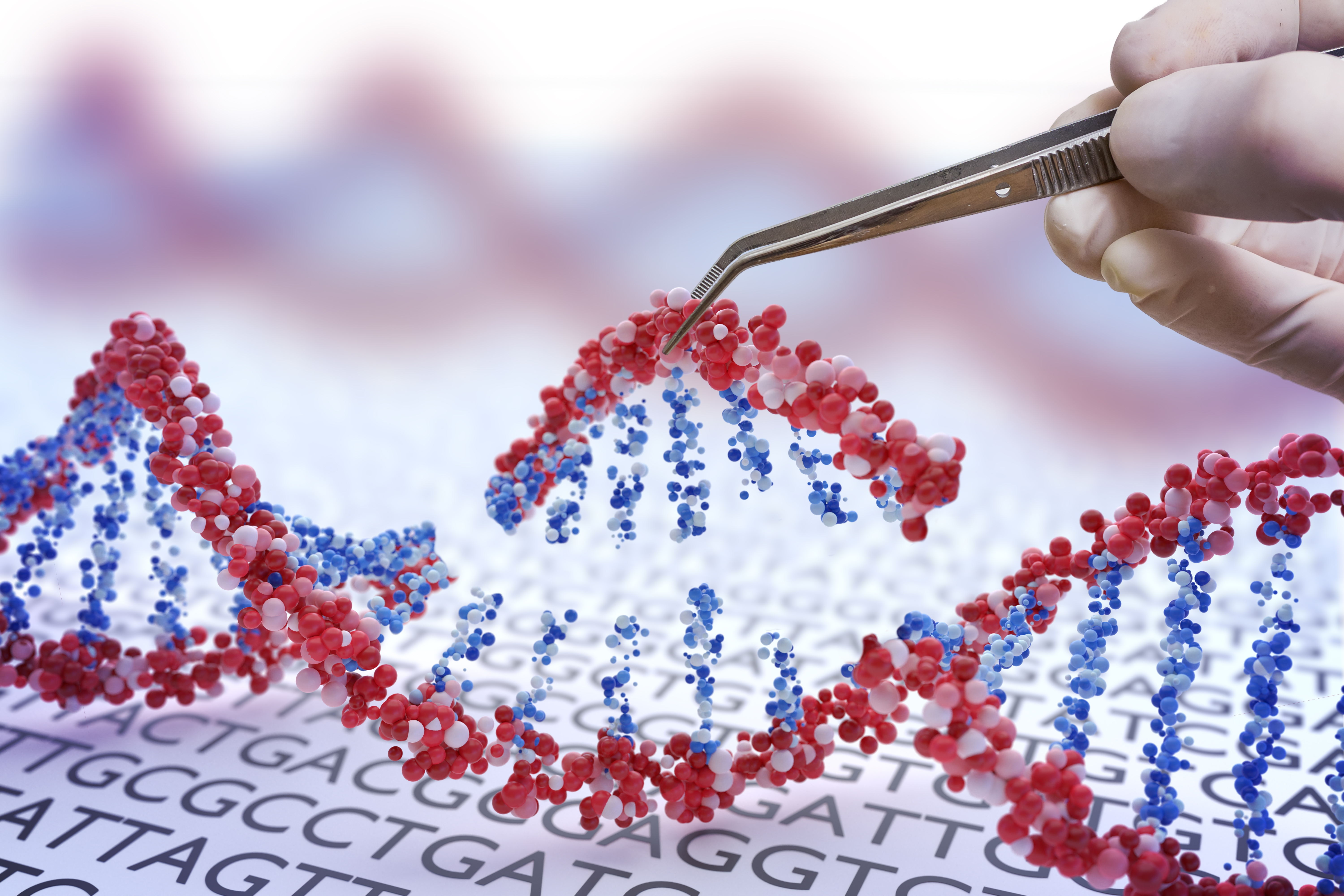 CRISPR is a gene-editing technology which allows scientists to precisely alter a region of DNA sequence. Scientists in this study used CRISPR to silence both copies of the Huntingtin gene which made symptoms better in HD mouse models.