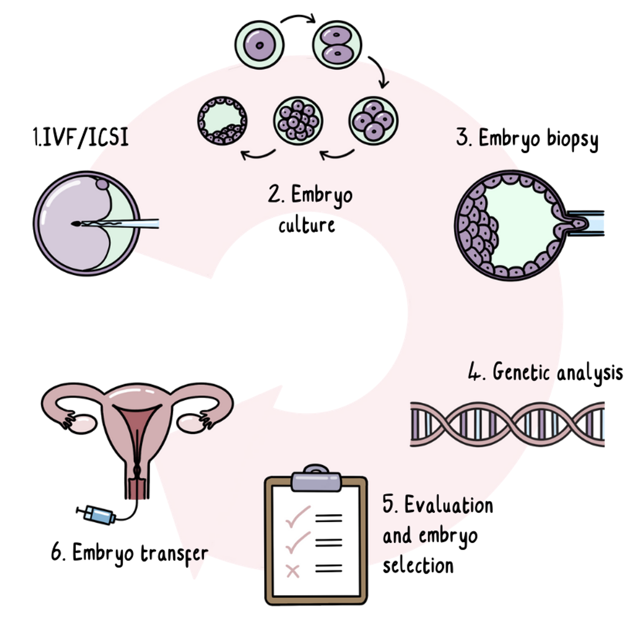 How PGT (preimplantation genetic testing) works