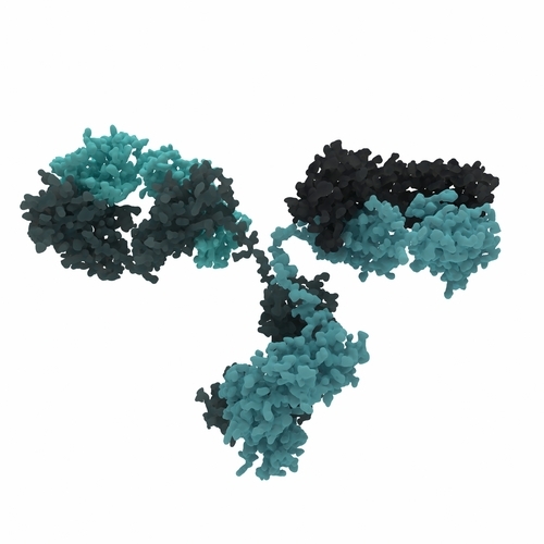 Strukturen af et enkelt antistofmolekyle  