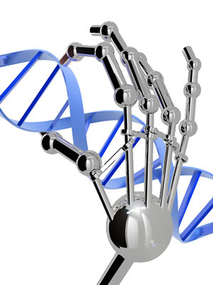 Zinkfingre kan designes til at binde sig til en hvilken som helst DNA-sekvens vi ønsker. De ligner dog ikke rigtigt en robothånd, som navnet ellers kunne antyde.  