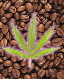 Koffein, cannabis og forsigtighed