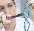 Klip-og-kopier DNA: reparér mutationer med 'genom-redigering'